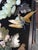 Asian Stone Fruit Collection Group of Three For Sale - Image 11 of 13