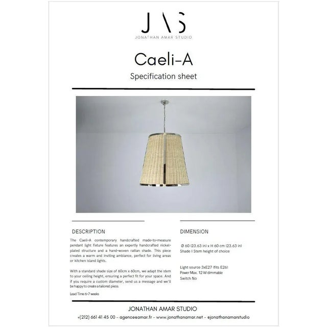 Silver Caeli-A Silver Rattan Pendant Light, Flow Collection For Sale - Image 8 of 8