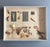 Beautiful old education display or herbarium which shows the different ways of pollination; flower, water, self, insect...