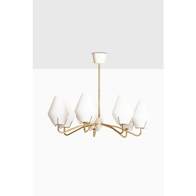 Metal Scandinavian Modern Brass and Opaline Glass Ceiling Lamp, 1950s For Sale - Image 7 of 7