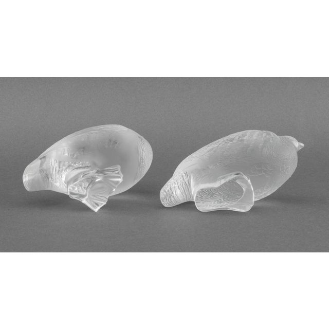 Lalique Crystal "Perdix" Sculptures, 4 For Sale - Image 14 of 15