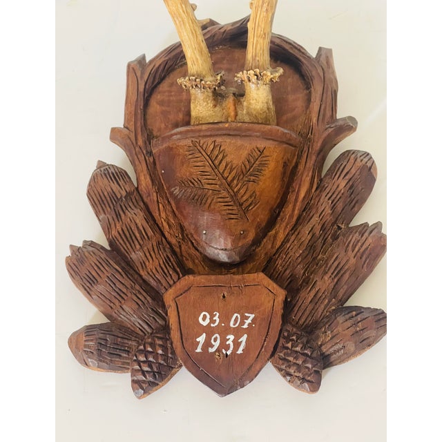 Antique Black Forest Deer Antlers Trophy Mounted Handcarved Board For Sale - Image 4 of 4