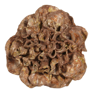 Large Organic Brutalist Studio Pottery Ceramic Flower Wall Sculpture in Earth Tones