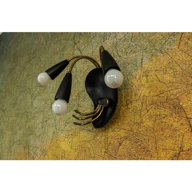 Mid-Century Modern Italian Three-Light Wall Lamp in the style of Stilnovo, 1960s For Sale - Image 9 of 18