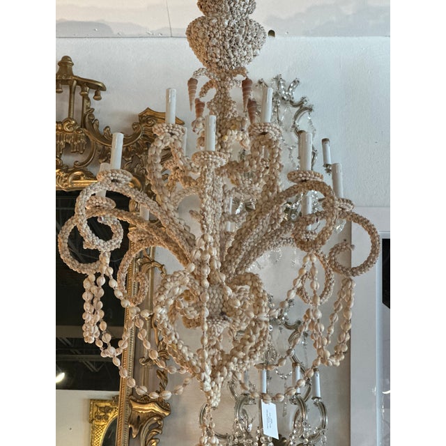 Vintage Shell Seashell Encrusted Coastal Palm Beach 12 Light Chandelier For Sale - Image 11 of 12