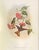 FREE SHIPPING ANYWHERE IN THE CONTINENTAL US! This is a set of John Gould Humming Bird full color lithographs. 1st edition...