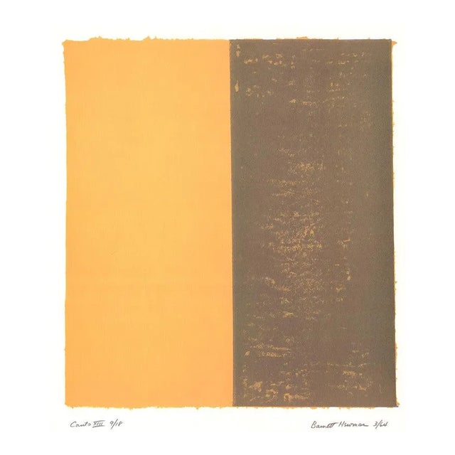 1998 Barnett Newman 'Canto XIII' Contemporary Yellow,Brown Germany Offset Lithograph For Sale