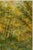 Vintage Autumn Forest Art Print – Green & Gold Woodland by Libin, 24" X 32" For Sale In Buffalo - Image 6 of 9
