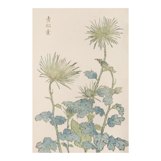 Two Wildflowers by Hasegawa, Vintage Japanese Botanical Art Print, 36" X 54" For Sale