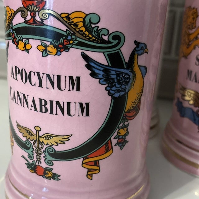 Antique 19th Century Parisian Pharmacy Latin Apothecary Ceramic Jar Set 3 For Sale In Chicago - Image 6 of 12