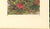 Contemporary 1945 Botanical Watercolor Lithograph-Rhododendron For Sale - Image 3 of 4