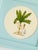 Coastal Original Hand-Painted Banana Palm Tree Painting in a Vintage Hand-Painted Frame For Sale - Image 3 of 3