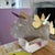 Brass Butterfly and Quartz Object For Sale - Image 4 of 12