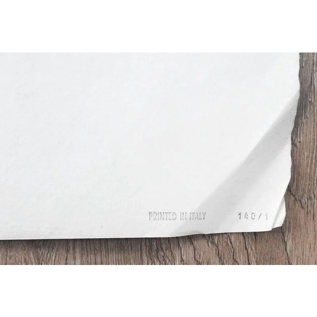 Gray Mid 20th Century Equestrian Dressage Prints After Johann Elias Ridinger - a Pair For Sale - Image 8 of 8