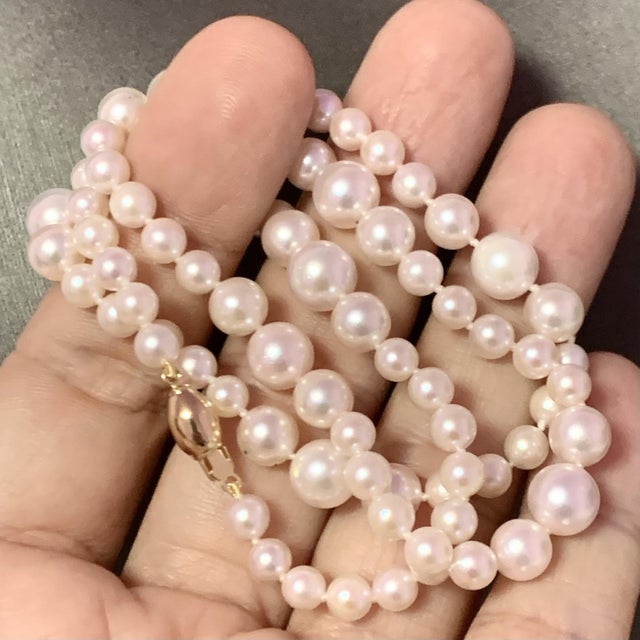 Akoya Pearl Necklace 14k Yellow Gold Certified For Sale - Image 4 of 11