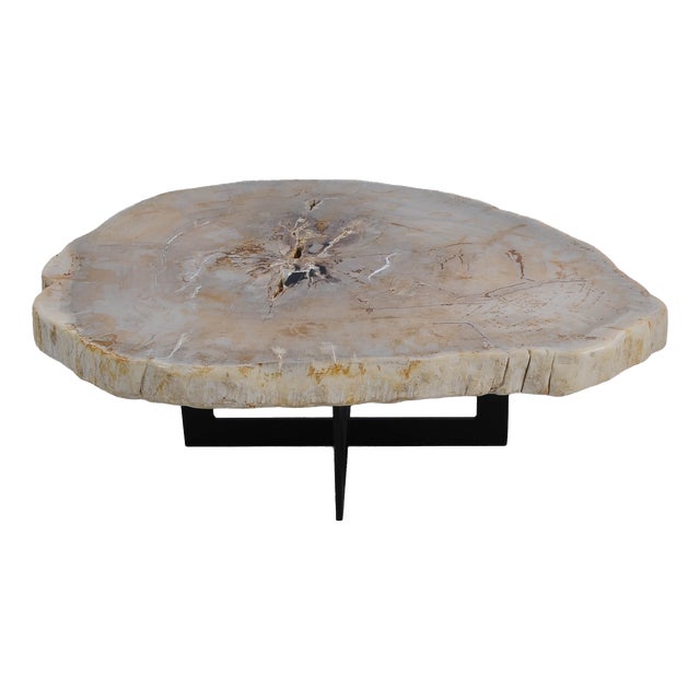 Petrified Wood Coffee Table by Xyleia Petrified Wood For Sale