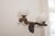 Vintage Brutalist Double Globe Lighting Wall Light, 1950s For Sale - Image 7 of 18