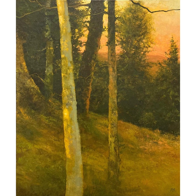 This oil on panel artwork captures a serene evening landscape, where slender trees stand gracefully amidst a warm, glowing...