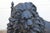 19th Century Antique English Cast Iron Lion Fireplace Andirons | Pair | Victorian Hearth Decor For Sale In Los Angeles - Image 6 of 18