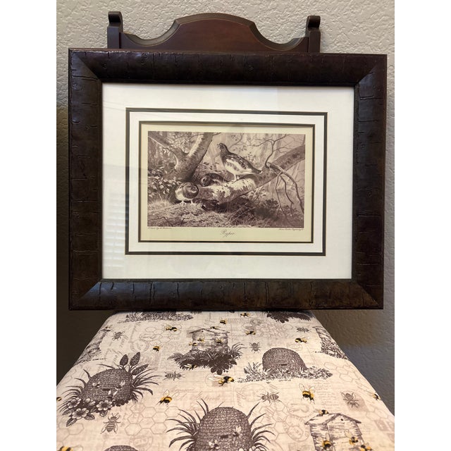 Brown Framed Game Bird Prints After Archibald Thorburn, Pheasant & Ryper – A Pair For Sale - Image 8 of 12
