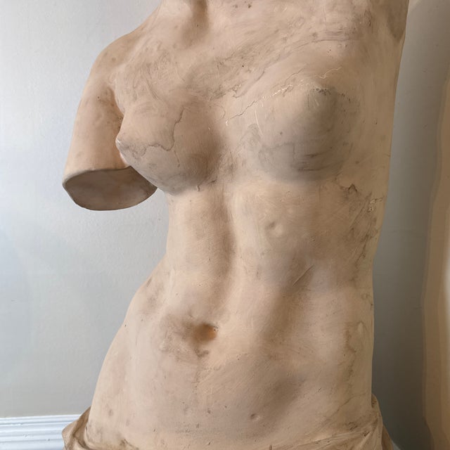 1970s Vintage Oversized Elegant Fiberglass Venus De Milo Bust For Sale - Image 4 of 12