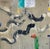Design Plus Gallery presents an Original Acrylic painting “Prayer Flag” by Isabel Wyatt. About the Artist: Raised in the...