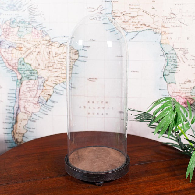 Tall Antique Victorian Taxidermy Dome, English, Glass Collector's Showcase, 1900 For Sale - Image 4 of 10