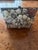 Shell Vintage Shell Encrusted Box For Sale - Image 7 of 10