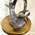Artisan Metal Sea Turtle Sculpture Coastal Reef Statue Ocean Fish 19" 4.5 LBS For Sale In New York - Image 6 of 10