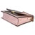 Animal Skin Rose Ballerine Monogram Canvas Flore Chain Wallet For Sale - Image 7 of 9