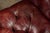 Vintage Tufted Leather Chesterfield Sofa in Burgundy For Sale - Image 11 of 11