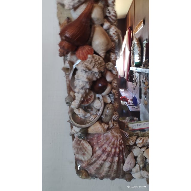 Vintage Handcrafted California Seashell Mirror For Sale - Image 17 of 18