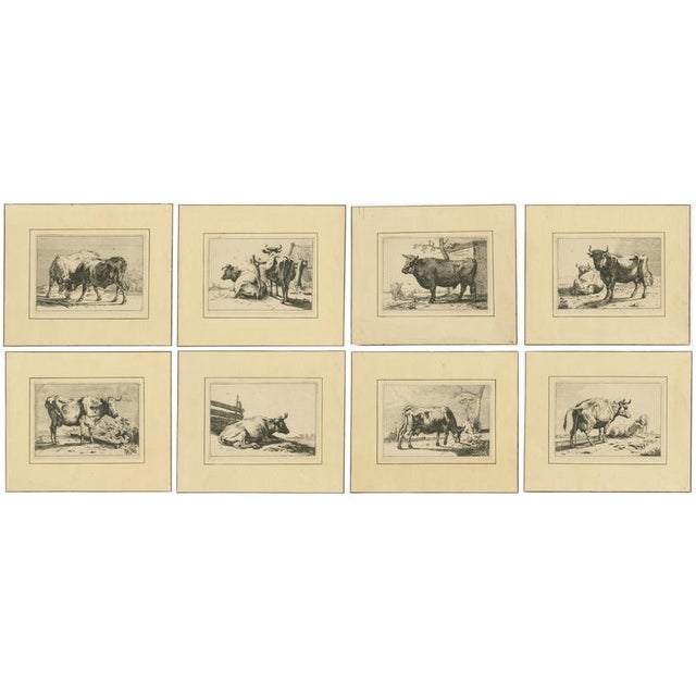 After Paulus Potter, Cattle, 1650, Set of 8 For Sale - Image 12 of 12