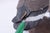 William Porterfield Carved Wood Canadian Goose For Sale - Image 11 of 15