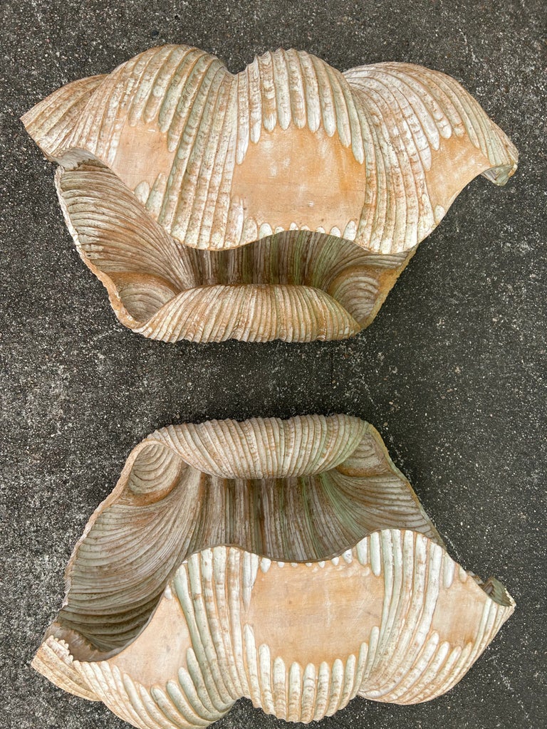 1970s Italian Carved Wood Shell Coffee Table | Chairish