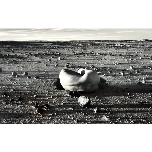 Judy Dater Self - Portrait With Stone Badlands South Dakota - Photograph 1981 by Judy Dater For Sale - Image 4 of 8