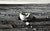 Judy Dater Self - Portrait With Stone Badlands South Dakota - Photograph 1981 by Judy Dater For Sale - Image 4 of 8