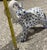 Herend Vintage Herend Style MCM Andrea by Sadek Fishnet Elephant in Blue Figurine For Sale - Image 4 of 5