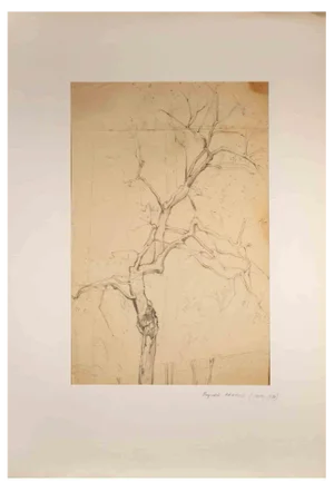 Reynold Arnould, Tree, Pencil Drawing, Mid-20th Century