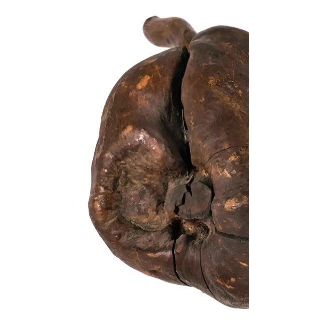 Vintage African Blackwood Root Bulb For Sale - Image 4 of 9