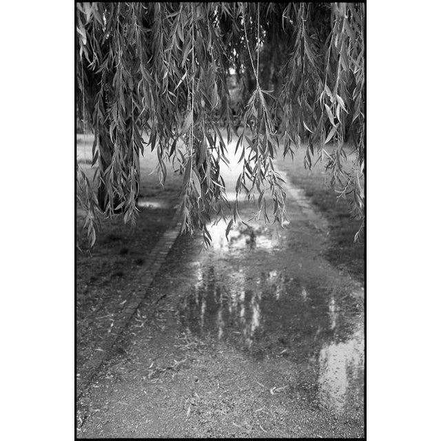 Not Yet Made - Made To Order Paul Cooklin, Flooded River Walk, Prague, Edition of 50 For Sale - Image 5 of 5