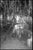 Not Yet Made - Made To Order Paul Cooklin, Flooded River Walk, Prague, Edition of 50 For Sale - Image 5 of 5