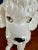 White Vintage Japanese Poodle Figurine For Sale - Image 8 of 12