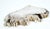 Mid-Century Modern Petrified Wood Antarctica Shape Solid Black & Tanl Bowl Dish Large Plate Ashtray For Sale - Image 3 of 13