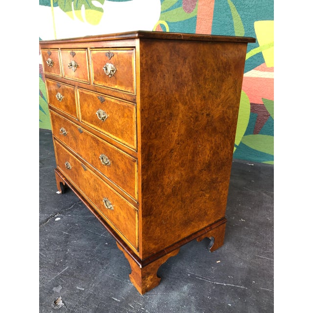 Traditional Yorkshire House Burl Chest For Sale - Image 3 of 11