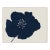 Hellebores I (var. 1) by Susan Hable, Acrylic Box For Sale
