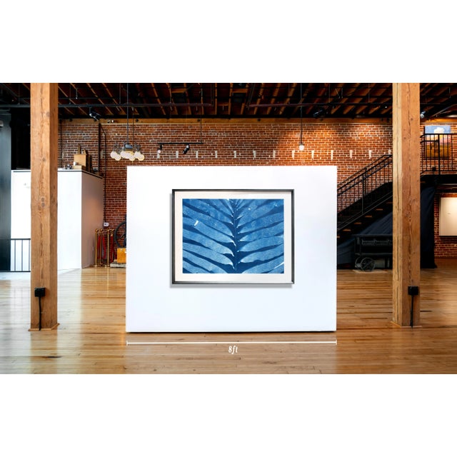 A Natural Color Cyanotype on Paper, "Giant Kelp" For Sale - Image 4 of 6