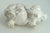 White Miniature Well-Carved Piglet "Miss Piggy" - Pig - - Of Uncommon Magnesite Stone. For Sale - Image 8 of 14