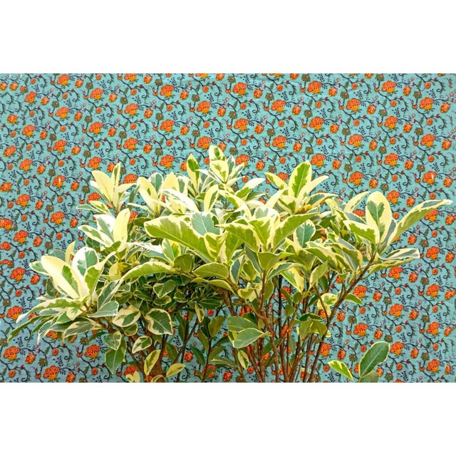 Contemporary Sumit Mehndiratta, Bleached Botany, 2019, Print on Acrylic Glass For Sale - Image 3 of 3