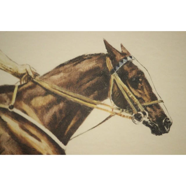 "French Polo" Color Plate For Sale In New York - Image 6 of 7